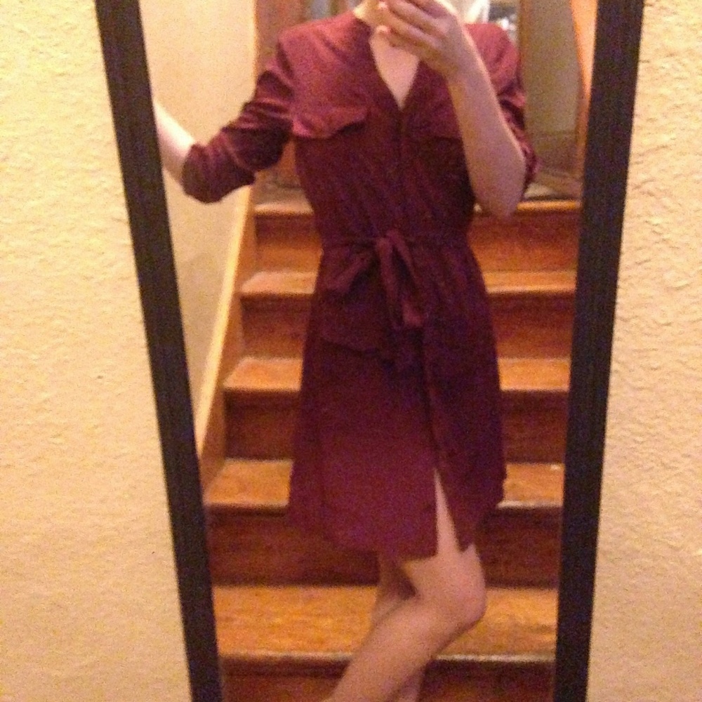 Button down shift dress - Picture 3 of 6